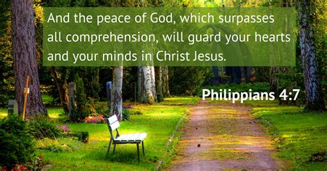 philippians 4 6 7 nkjv|Philippians 4:7 NKJV: and the peace of God, which surpasses all .